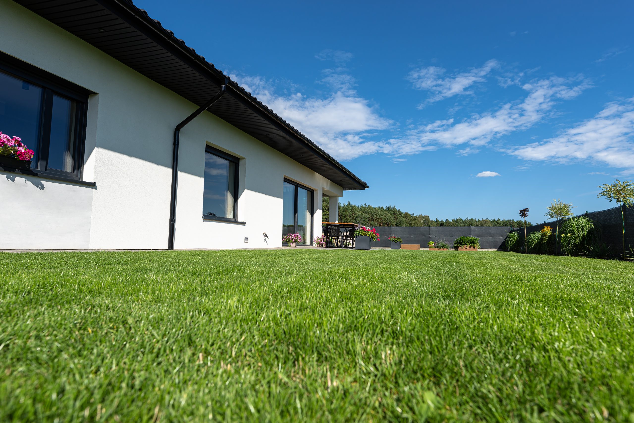 Healthy green lawn irrigated by a well system at a Sarasota home
